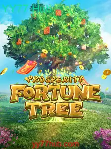 Explorando o Mundo de ProsperityFortuneTree: Um Mergulho no YY77 Hub